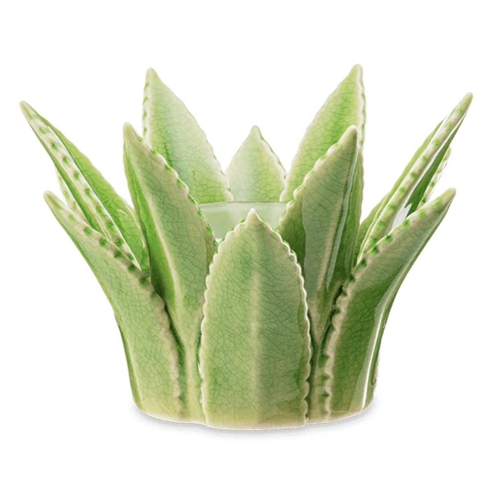 Scentsy Aloe Vera Element Wax Warmer Green Succulent Ceramic Crackle Glaze NIB